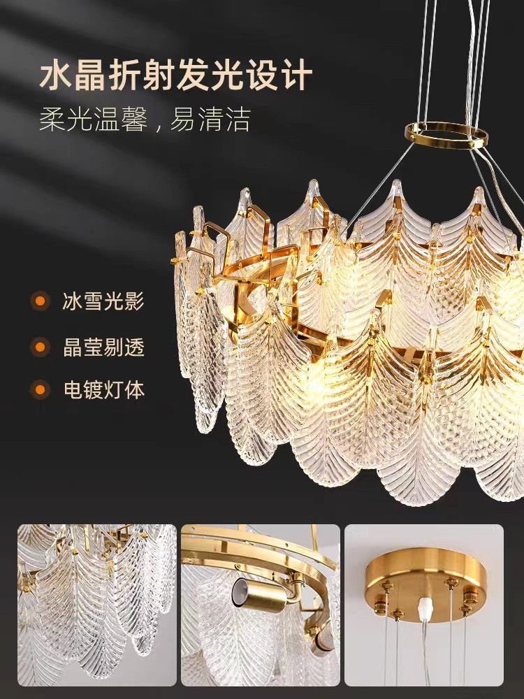 微信图片_20240513094708.jpg
