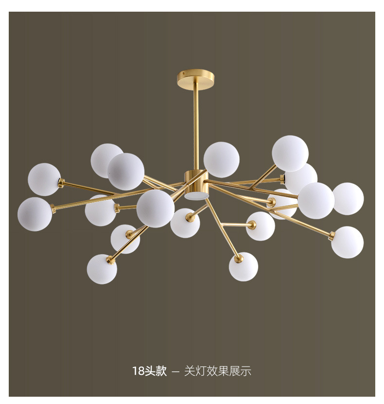 1735631458_SKU_5_出厂赠送光源(默认暖光) 18头.jpg
