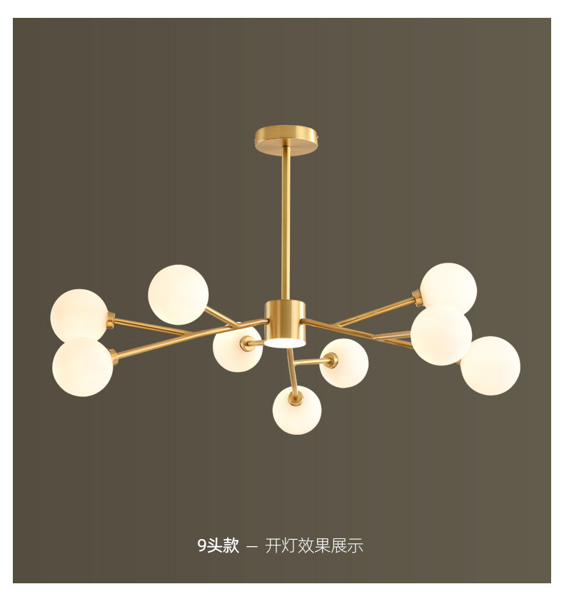 1735631458_SKU_2_出厂赠送光源(默认暖光) 9头.jpg