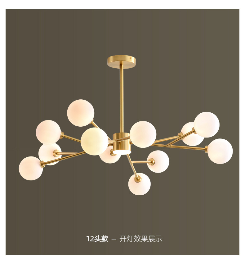 1735631458_SKU_3_出厂赠送光源(默认暖光) 12头.jpg