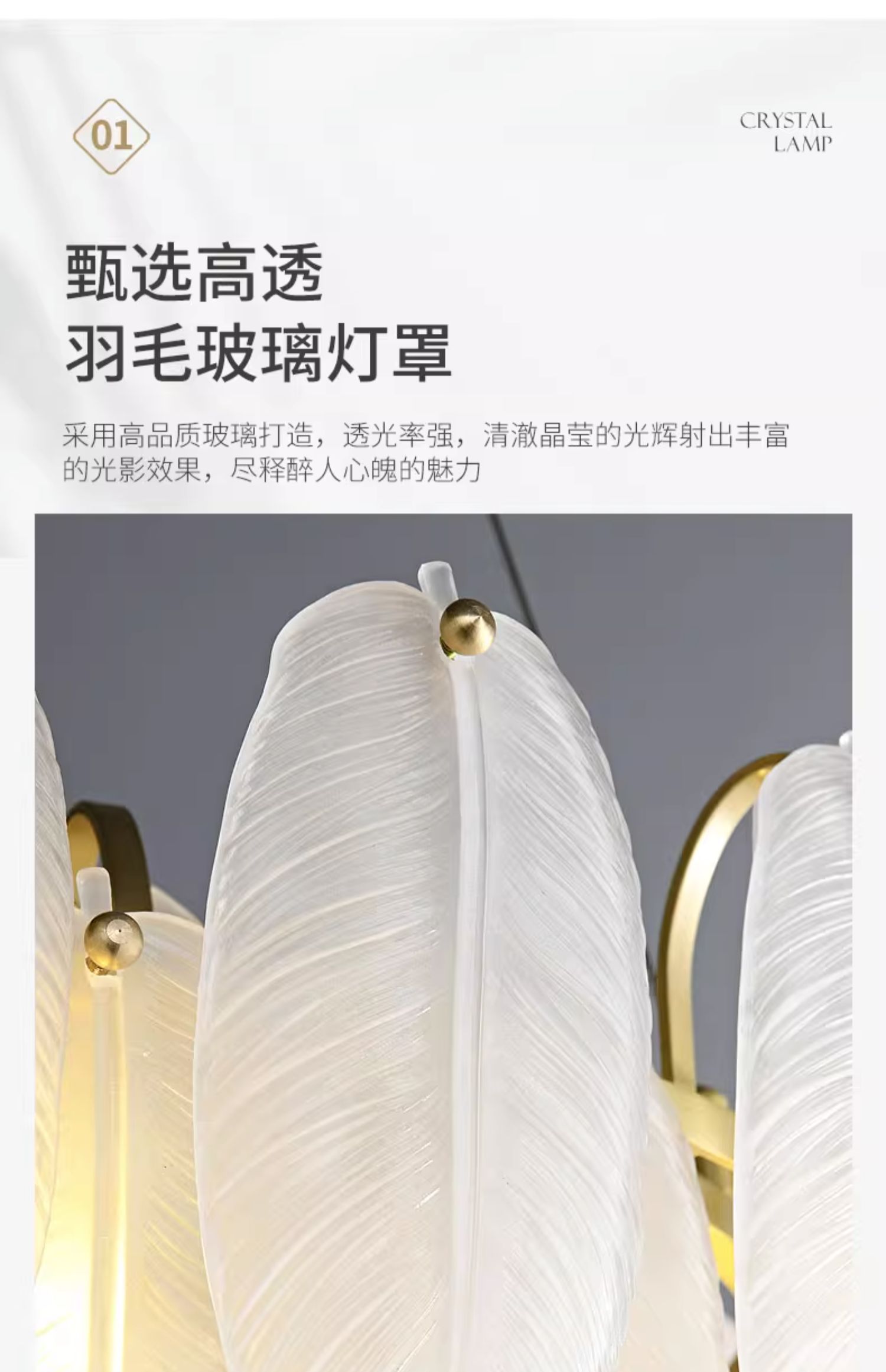 1736491502_详情图_2.jpg