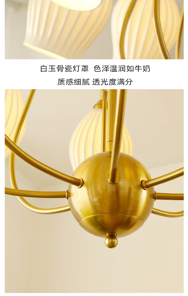 微信图片_20250103102917.jpg