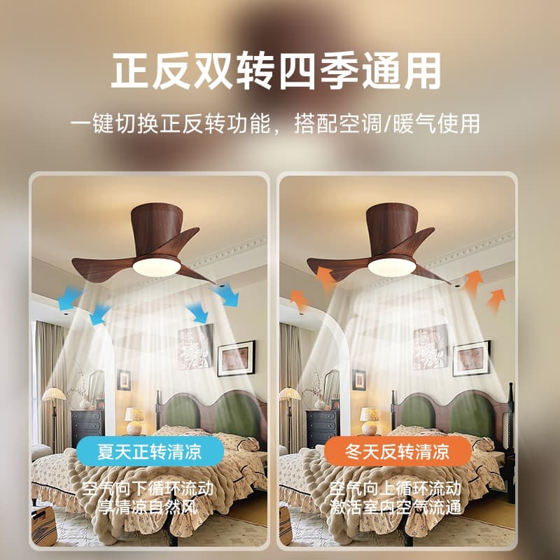微信图片_2025-09-29_155051_687.jpg