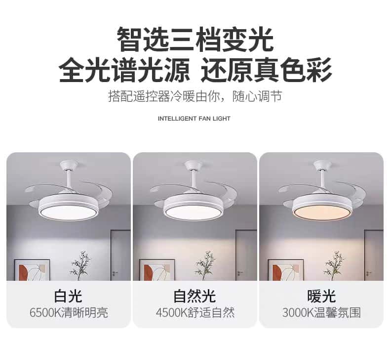 微信图片_20250920170245_382_63.jpg