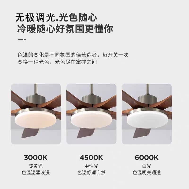 微信图片_2025-09-28_162721_537.jpg
