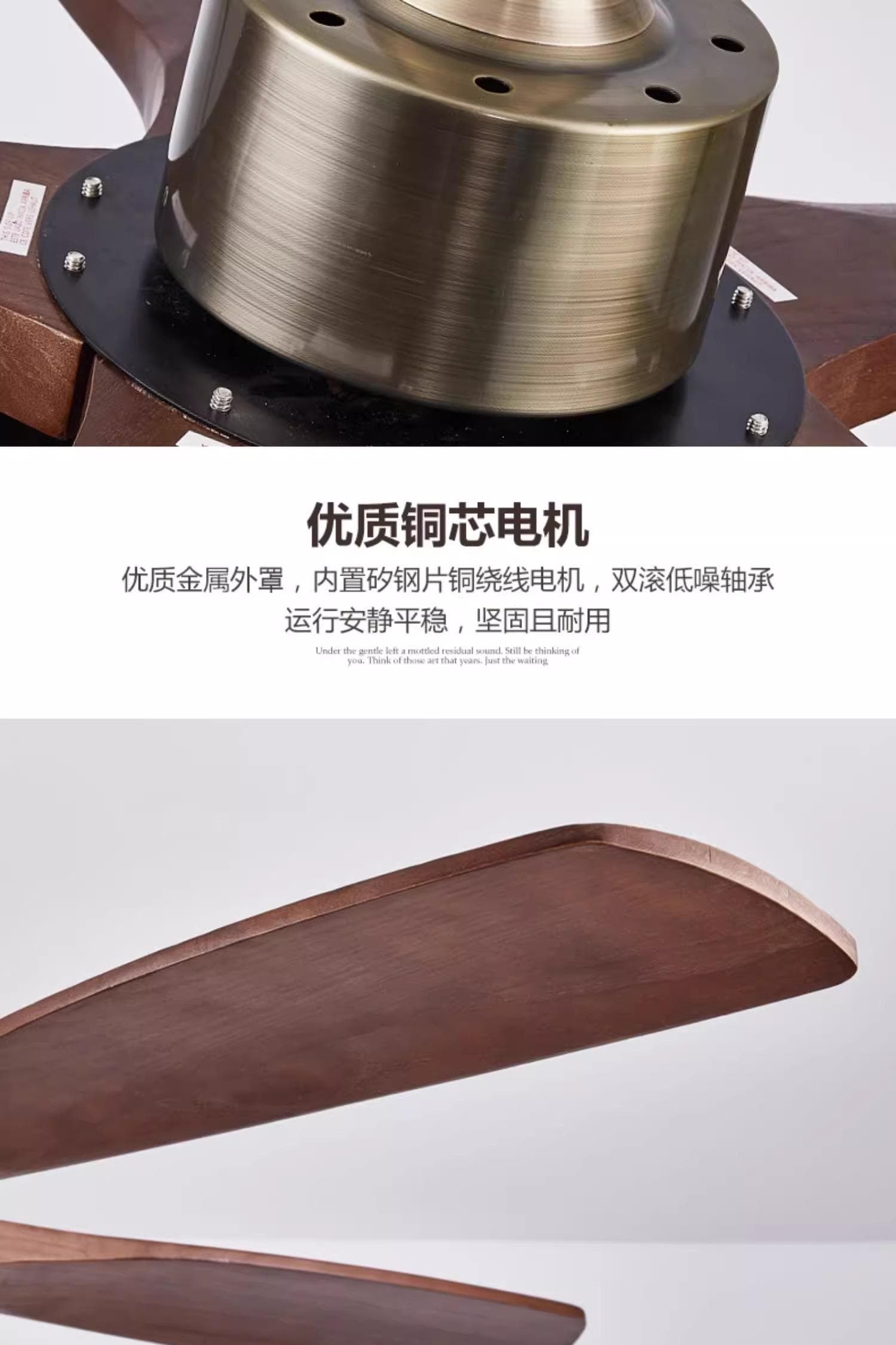 微信图片_2025-09-28_153805_585.jpg