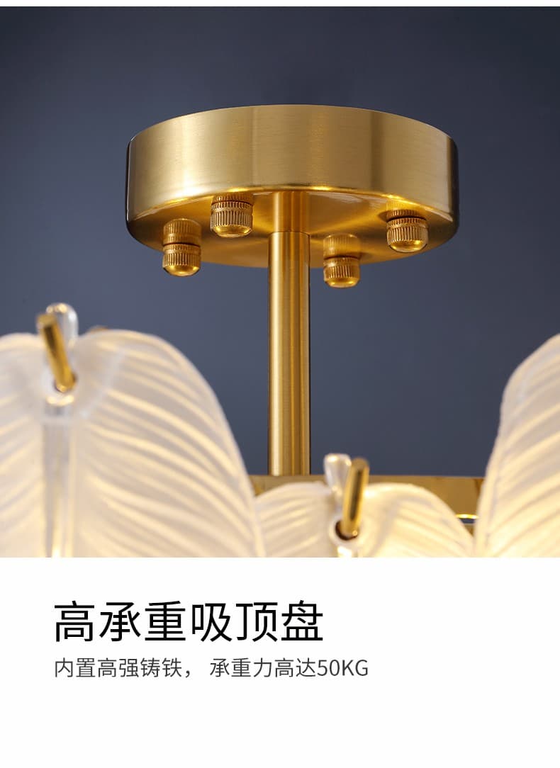 微信图片_2025-09-28_164830_485.jpg