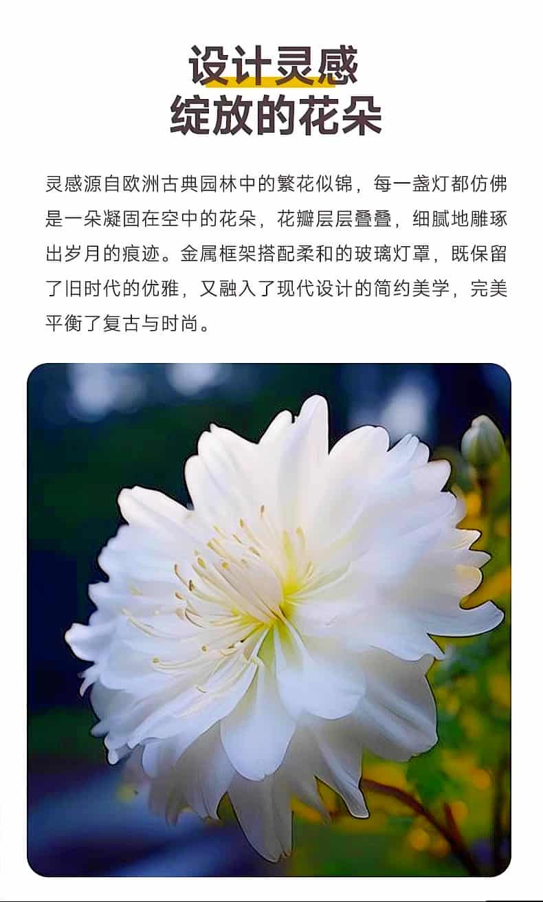 详情图_2.jpg