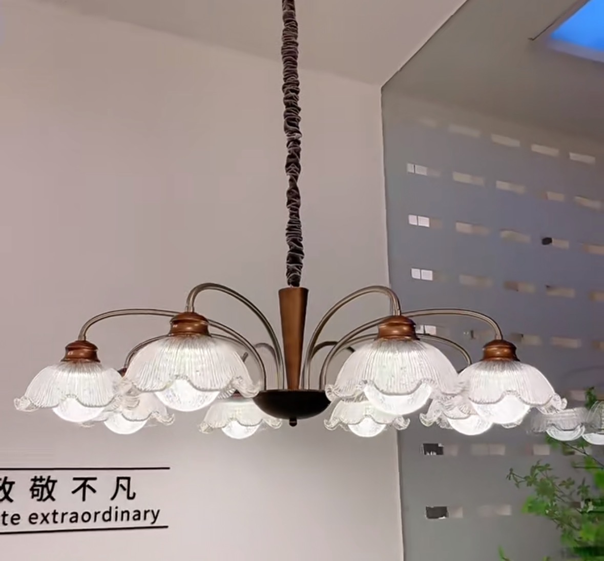 微信图片_20260507094318_12_650.jpg